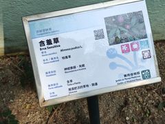 -石排湾郊野公园