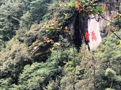 -苍山感通索道