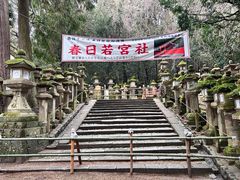 -奈良公园