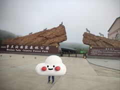 -茅兰沟国家森林公园