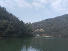 -桃花岭景区