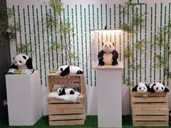 -竹鲜笙全竹宴(国色天香店)