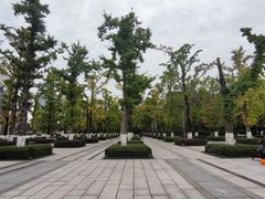 -百林公园-两江幸福广场