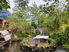 -花溪雨·森林餐厅(石基店)