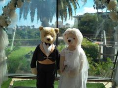 -济州岛泰迪熊博物馆