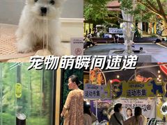 -瑞虹新天地月亮湾
