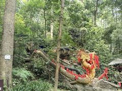-都江堰普照寺
