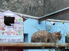 -青藏高原野生动物园