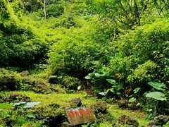 -海口火山口国家地质公园