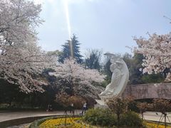 -杭州少年儿童公园