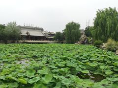 -莲池书院博物馆