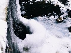 -抱龙峪