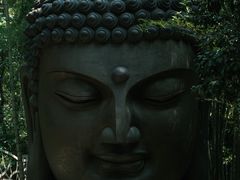 -杭州植物园