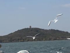 -水上明月·湖景餐厅