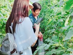 -西瓜小镇