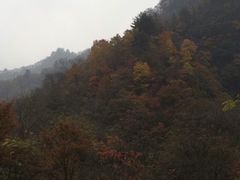 -秦岭风景区