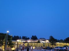 -莫子山公园