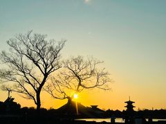 -广富林郊野公园