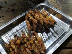 烤肉-清真·马峰烤肉(小学习北巷店)