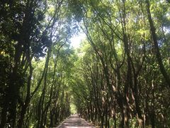 -同里国家湿地公园
