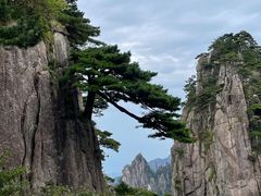 -黄山风景区