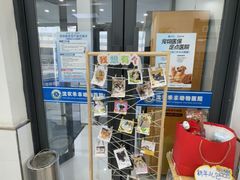 -派美特宠物医院·核磁CT·骨科肿瘤·疑难转诊(沈农禾丰店)