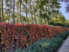 -元大都城垣遗址公园