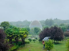 -西峡恐龙遗迹园