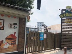 -柴犬高等学院·狗咖·柴犬售卖·宠物训练