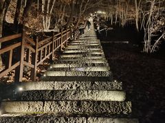 -五女山景区