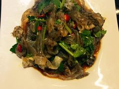 麻辣鱼皮-杨记大丰收鱼庄(国贸店)