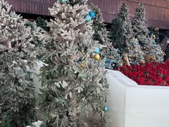-世界之窗阿尔卑斯冰雪世界