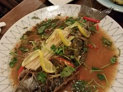 -紫滇源云南生态菜(丹凤街店)