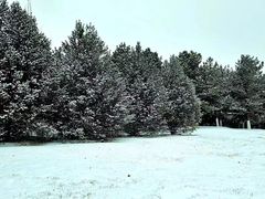 -北京园博大酒店