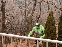 -青岛电视塔