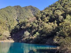 -大奇山国家森林公园