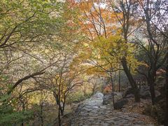 -北京鹫峰国家森林公园