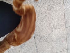 -美联众合动物医院(·中兽医·疑难杂症·严家桥分院)