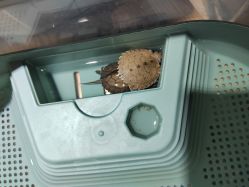 -IDEA·艾蒂尔科技美肤·日式美甲美睫集合店