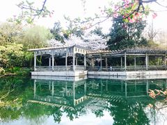 -西湖外事游船(花港观鱼码头)