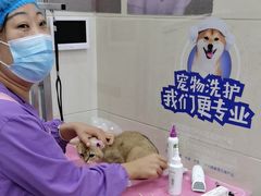 -北京观赏动物医院·24小时大型综合·猫专科·异宠专科
