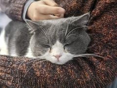 -1013 PET SHOP 宠物商店(近铁城市广场店)