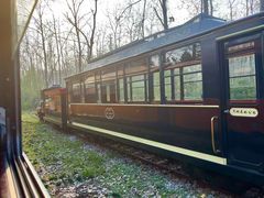 -合肥滨湖国家森林公园