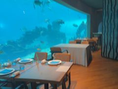 -海棠湾洲际-涛·海底餐厅·龙虾·牛排·美人鱼