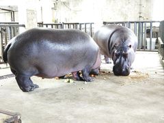 -哈尔滨北方森林动物园