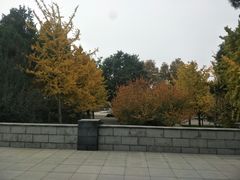 -华北军区烈士陵园
