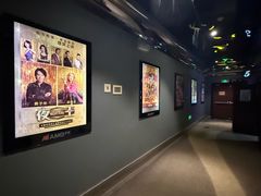 -AMG海上明珠影城(上海环球港RealDCinema店)