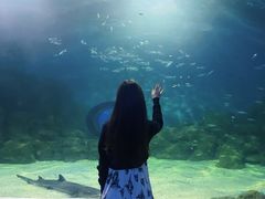 -常州海昌海洋探索馆