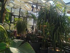 -北马山庄植趣咖啡