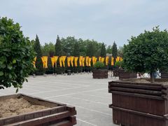 -大槐树寻根祭祖园